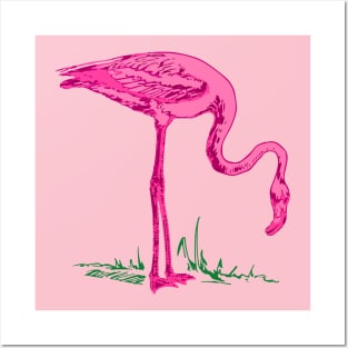 Flamingo Posters and Art